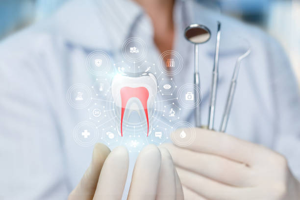 Best Emergency Dental Care  in Payson, AZ